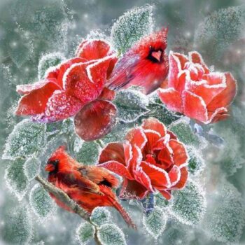 Winter Roses Cardinals – Diamond Painting Kit