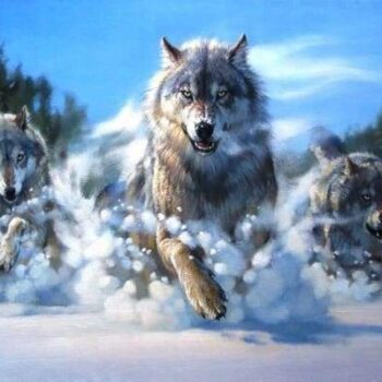 Wolf Pack – Diamond Painting Kit