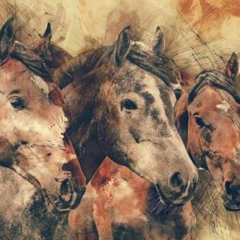 Tres Horses – Diamond Painting Kit
