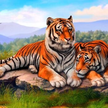 Two Tigers Relaxing – Diamond Painting Kit