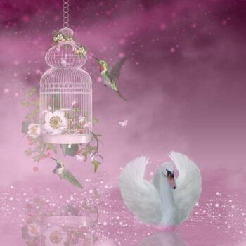 Swan And Hummingbird – Diamond Painting Kit